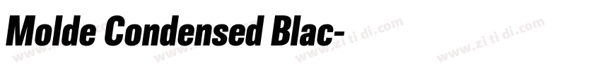 Molde Condensed Blac字体转换